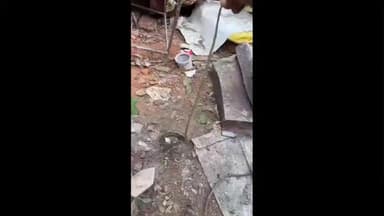 होशंगाबाद नगर: नर्मदापुरम: महिला जेल के पास घर में निकला धामन सांप, सर्प मित्र ने किया रेस्क्यू