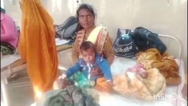 कटनी नगर: बड़ा खेड़ा ग्राम: जंगली जानवर का मासूम बच्चों पर हमला, बच्चा अस्पताल में भर्ती