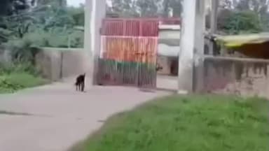 हथीन: हथीन के सरकारी स्कूलों में शिक्षक समय पर नहीं आते, बच्चे कैसे पढ़ें? बीईओ व DC से शिकायत