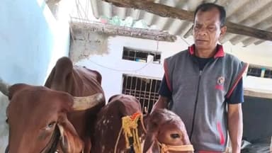 राष्ट्रीय कृत्रिम गर्भाधान कार्यक्रम से श्री हरीश चंद्र पैंकरा की जिंदगी बदली, अब देशी गाय से कर रहे दुग्ध उत्पादन