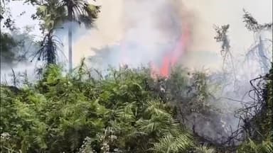 వెంకటాపురం: రామప్ప సమీపంలో కేన్ మొక్కలకు అంటుకున్న మంటలు