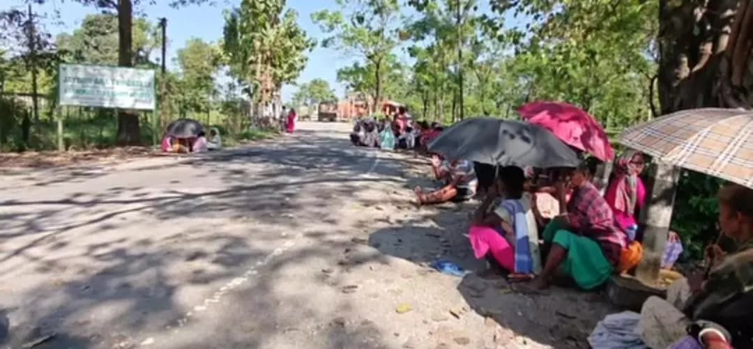 আলিপুরদুয়ার ১: জয় বীরপাড়া চা বাগানে শ্রমিকদের ২০% বোনাস দাবি, কাজ বন্ধ