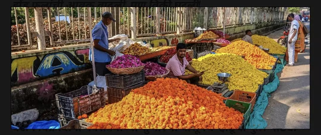 महाड: पुण्यात 2024 नवरात्र-दसऱ्याच्या मोसमात झेंडू फूलांची मागणी अचानक कमी