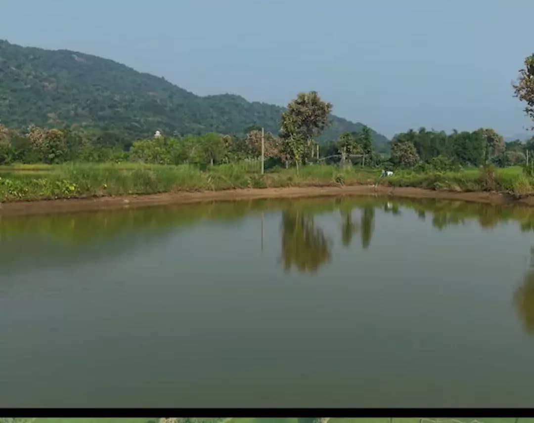 ପାରଳାଖେମୁଣ୍ଡି: ଗଜପତିରେ ପ୍ରଧାନମନ୍ତ୍ରୀ ମତ୍ସ୍ୟ ସମ୍ପଦ ଯୋଜନା: ଚାଷୀଙ୍କ ପାଇଁ ସୁବର୍ଣ୍ଣ ସୁଯୋଗ