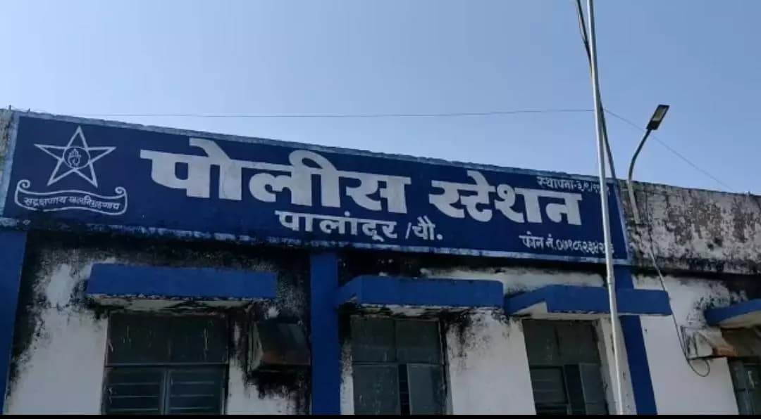 भंडारा: परसोडीमध्ये सर्पदंशाने 72 वर्षीय वृद्धाचा उपचारादरम्यान मृत्यू
