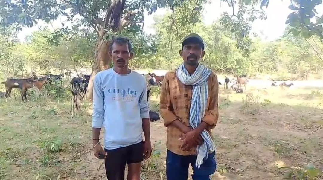 కోటపల్లి: మంచిర్యాల: గొర్ల కాపరులపై ఫారెస్ట్ బీట్ ఆఫీసర్ దాడి, అట్రాసిటీ కేసు నమోదుకు డిమాండ్