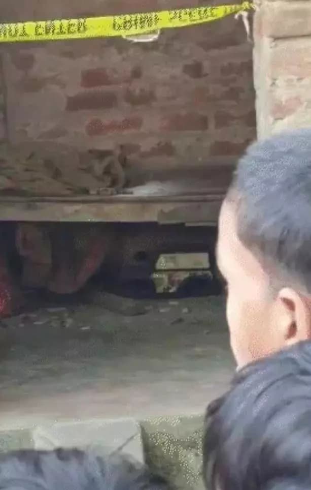 प्रतापगंज: सुपौल में बेटे ने पिता की पीट-पीटकर हत्या, मां भी गंभीर रूप से घायल