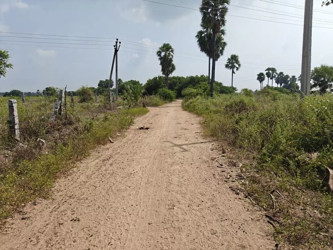 మునగాల: మునగాల మండలంలో రోడ్ల కోసం ప్రజల ఎదురుచూపులు: రేపాల లింకు రోడ్లపై స్థానికుల విజ్ఞప్తి