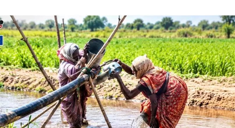 गोंडपिंपरी: हिवराच्या दोन वृद्ध महिलांची शेती वाचविण्याची संघर्षकहाणी
