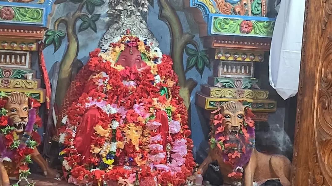 ଖରିଆର: ଖଡ଼ିଆଳରେ ଅନୁଷ୍ଠିତ ହେଉଛି ମାଁ ରକ୍ତାମ୍ବରୀ ଓ ସମଲେଶ୍ୱରୀଙ୍କ ବିରଳ ଯୁଡ଼ା ଛତର ଯାତ୍ରା