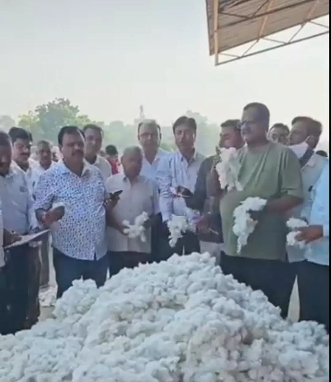કડી: કડી માર્કેટ યાર્ડ: કપાસની નવી સીઝનનું મુહૂર્ત, 1933 રૂપિયા સુધી પહોંચ્યા ભાવ