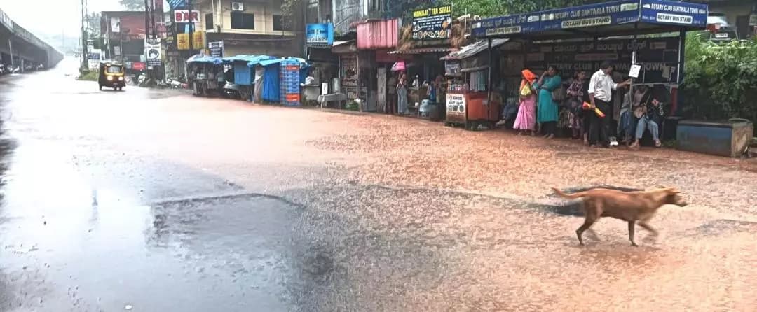 ಬಂಟ್ವಾಳ: ಮಳೆಗೆ ನದಿಯಾದ ಬಿ.ಸಿ. ರೋಡ್ ಸರ್ವೀಸ್ ರಸ್ತೆ, ಪ್ರಯಾಣಿಕರ ಪರದಾಟ