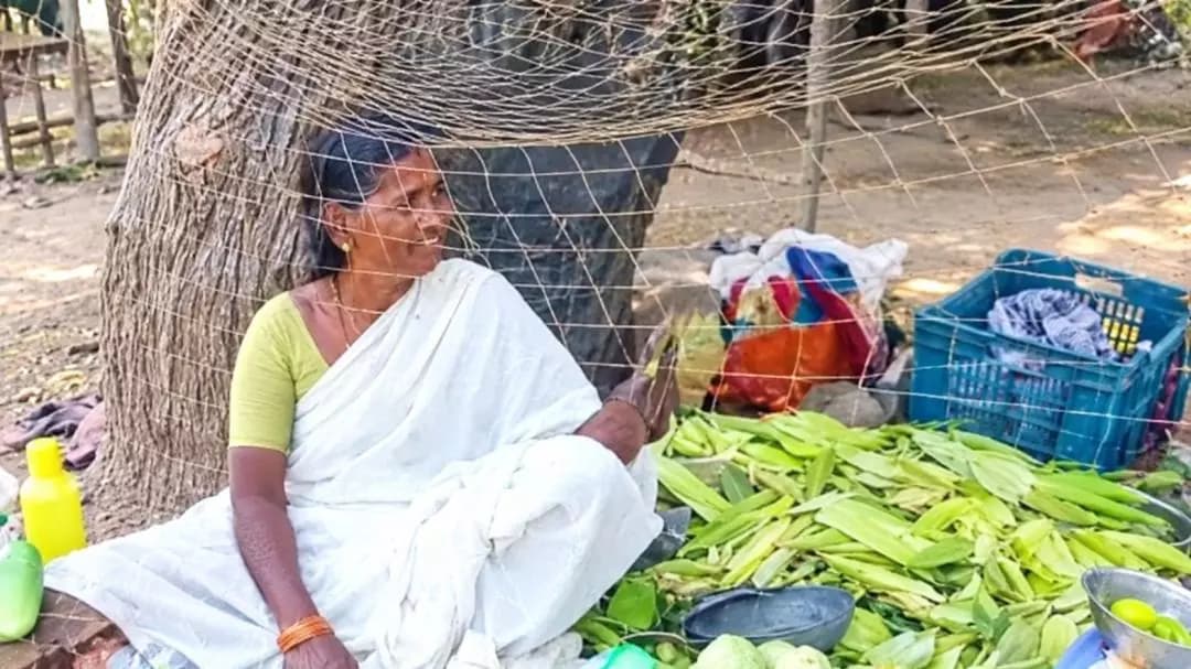 మల్యాల: జగిత్యాల: కోతుల నుంచి పండ్లను కాపాడుకోవడానికి వృద్ధురాలి వినూత్న ఆలోచన
