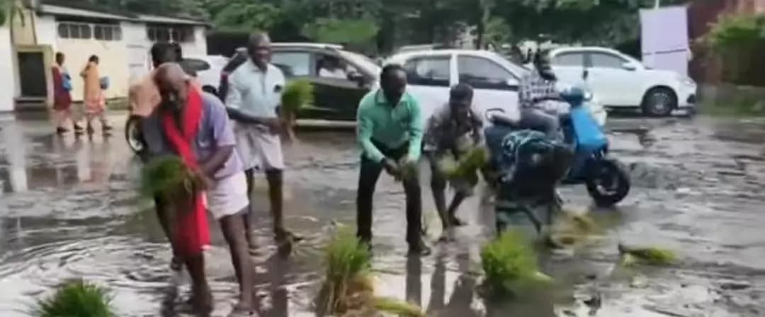 திருவண்ணாமலை: திருவண்ணாமலை வட்டாட்சியர் அலுவலகத்தில் நாற்று நட்டு நூதன போராட்டம்