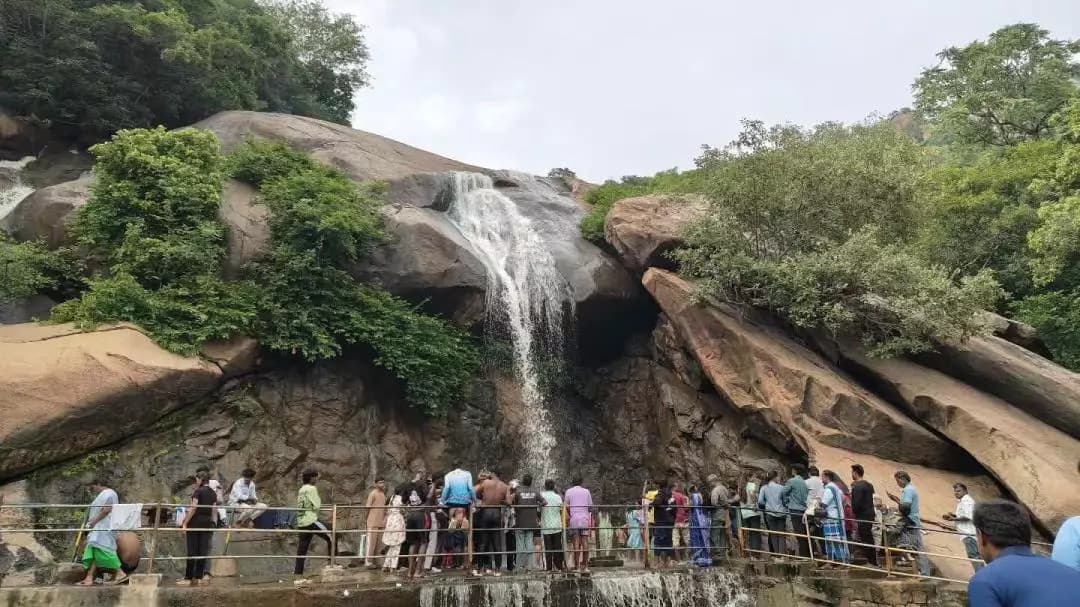 திருப்பத்தூர்: ஜலகாம்பாறை நீர்வீழ்ச்சியில் ஆர்ப்பரித்துக் கொட்டும் தண்ணீர்: சுற்றுலாப் பயணிகள் மகிழ்ச்சி