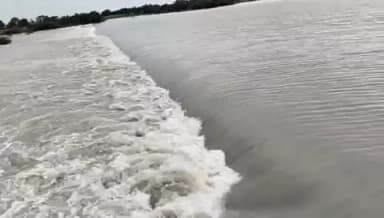 टोंक: जिले में बनास नदी उफान पर, कलेक्टर कल्पना अग्रवाल ने आमजन से की सावधानी बरतने की अपील - Tonk News