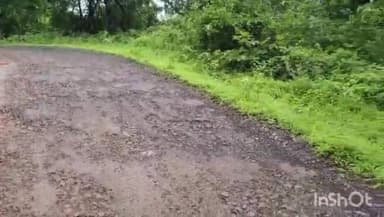 गुहागर: पांगारी सडेवाडी येथे गुहागर परचुरी एस.टी बस कलंडली; चालकाचा ताबा सुटल्याने घडला प्रकार, सुदैवाने मोठा अनर्थ टळला