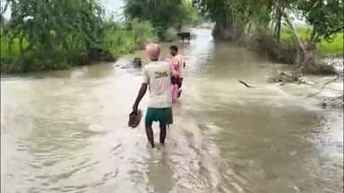 डलमऊ: गंगा के बढ़ते जलस्तर से डलमऊ के ग्रामीण परेशान, मकान और फसल बाढ़ की चपेट में