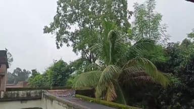 ଝାରସୁଗୁଡା: ଜିଲ୍ଲାରେ ପବନ ଓ ବିଜୁଳି, ବଜ୍ରପାତକୁ ନେଇ ଭୁବନେଶ୍ୱର ସ୍ଥିତ ଆଞ୍ଚଳିକ ପାଣିପାଗ ବିଭାଗ ପକ୍ଷରୁ ୟେଲୋ ୱାର୍ଣ୍ଣିଂ ଜାରି