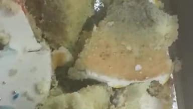 భూపాలపల్లి: జిల్లా కేంద్రంలోని ఓ బేకరీలో ఫంగస్ వచ్చిన కేకు విక్రయం, వాంతులు, విరోచనాలు చేసుకున్న వ్యక్తి, ఫుడ్ సేప్టీ అధికారులకు ఫిర్యాదు