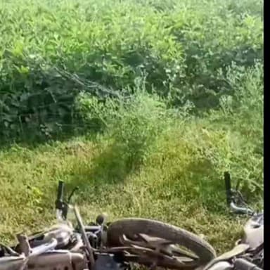 थानागाजी: खेड़ामुड़ियागांव में दबंगों ने किसान की करीब 5 बीघा खड़ी फसल को किया नष्ट, पांच मोटरसाइकिल में तोड़ी झोपड़ी में लगाई आग