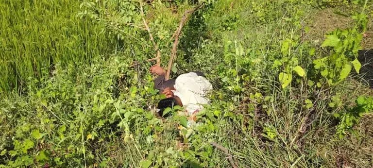 फिंगेश्वर: गरियाबंद में सड़क किनारे युवक का शव मिला, पुलिस मामले की जांच में जुटी