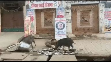 सरकार को ध्यान देना चाहिए#ऐसी गलती ना करें#
इंदिरा रसोई ऐसे कर्मचारियों को तत्काल सस्पेंड करें
#