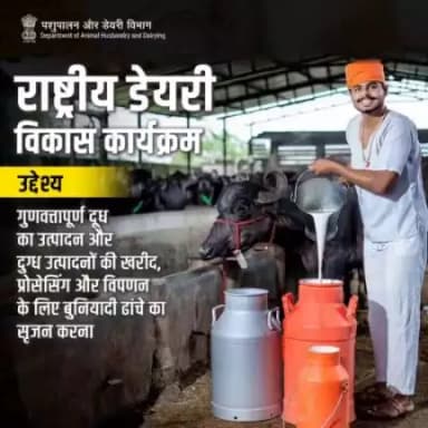 राष्ट्रीय डेयरी विकास कार्यक्रम का उद्देश्य दूध और दूध उत्पादों की गुणवत्ता में वृद्धि करना तथा संगठित खरीद,प्रसंस्करण, मूल्य संवर्धन और विपणन की हिस्सेदारी बढ़ाना है। #milk #milkproduct