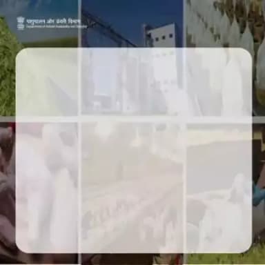 ग्रामीण क्षेत्र में रोजगार को बढ़ावा :
डेयरी प्रसंस्करण, मांस उत्पादन, पशु चारा संयंत्र, नस्ल गुणन, कृषि-अपशिष्ट प्रबंधन, और पशु चिकित्सा सुविधाओं में किए जा रहे निवेश से ग्रामीण परिदृश्य को सशक्त बनाने की पहल है।
#ahidf #livestocksector