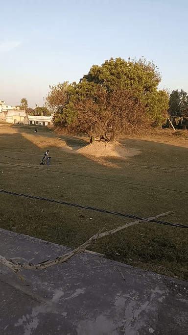 बहेड़ी: Abbas Nagar jafri ka field ma enjoy karta huai bacha#@@@@@@@@#122