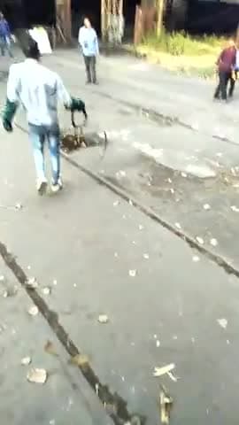 गोलमुरी-सह-जुगसलाई: #केबल कंपनी में चार चार सांप देखा गया। साँप पकड़ने वाले को बुलाया गया था जिसमें से दो को उन्होंने पकड़ कर अपने साथ ले गए। साँप को मारे नही।