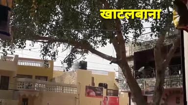 गंगानगर: #खाटलबाना।पब्लिक की खबर का असर मधुमक्खी के छत्ते की खबर के बाद उतरवाया गांव के छत्ता।