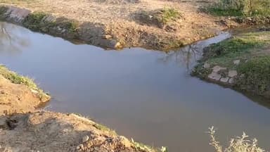 अनूपगढ़: गांव 4 MSR के पास की माइनर हुई क्षतिग्रस्त, नर्सरी के मैदान में व्यर्थ हो रहा पानी #माइनर