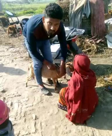 हरसिद्धी: पशुओं में उत्पन्न रोग के बचाव को लेकर हरसिद्धि में टिकाकरण अभियान चलाया गया
#टिकाकरण अभियान