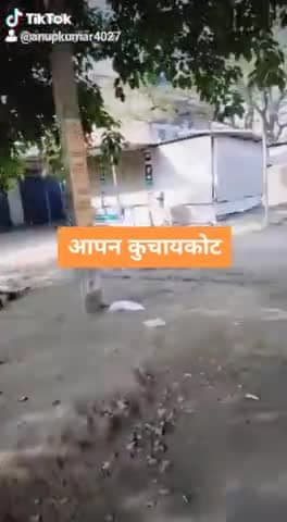 कुचायकोट: आपन कुचायकोट बाजार#gopalsharma