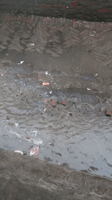 औरंगाबाद: #apkiawaaz #sunil  Chandaul sihuli me Naali Ka haal Janiye