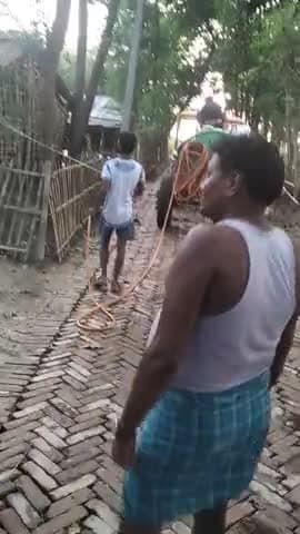 मधेपुरा: मधेपुरा के बाराही ओपी थाना क्षेत्र के मुरहो पंचायत के वार्ड नंबर 13 मुरहो भित्ता में #newsreport @reportermadhepura.