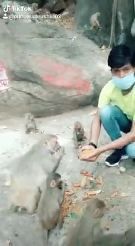 #Bhaiya
#Covid_19
#monkey_food