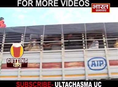 ट्रक में जानवरों की तरह भरकर लखनऊ एक्सप्रेसवे पहुचे लोग
#pragyamishra
#cuttingchai
#ultachasmauc