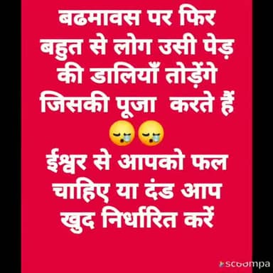गाज़ियाबाद: चांद और सूरज की पूजा करने के लियें जब उन्हें तोड़ कर नही लाते तो बढमावस पर टहनियां क्योँ तोडते हैं #dont pluck the leaves