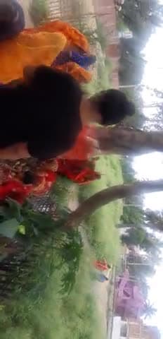 कहरा: सहरसा सदर में हर्षोल्लास के साथ मनाया गया बट सावित्री का पर्व#saharsasnews #saharanpurpolice #amritasingh #shivrajsinghc
