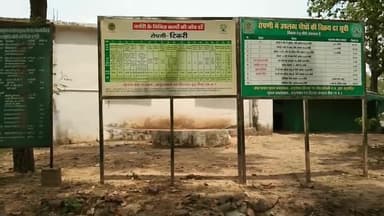 मझौली: फॉरेस्ट विभाग टिकरी की नर्सरी में किए जा रहे हर प्रकार के पौधे तैयार, किया जाता है विक्रय #नर्सरी #वन_विभाग