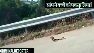 जयपुर: अपने बच्चे को बचाने के लिए सांप से भिड़ गई चुहिया ! यह होती है माँ की ममता ।#rescue #lockdown4 #mothers