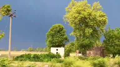 फतेहाबाद: #farmersuicide mosam jaat awesome!