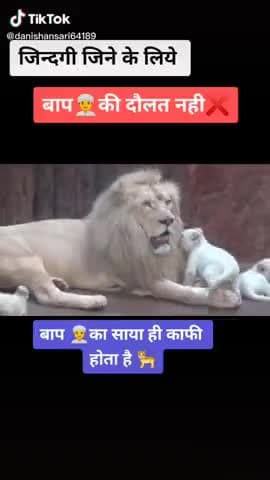 सुपौल: @sahi hai naa bhai #lockdowncoronavirus #modij