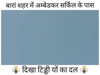 बारां: बारां शहर में करोड़ों को संख्या के दिखा टिड्डी यों का दल लोग हुए परेशान 🐝🐝🐝🐝#lockdowm 