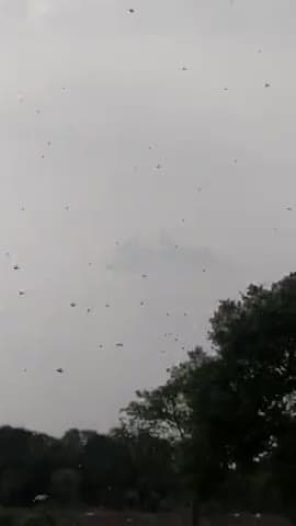 गुना: teddi ka aatek guna mp me@#gundown #videoviral