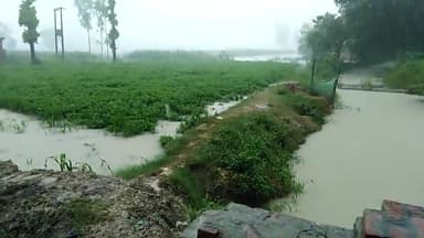अकबरपुर: #कुदरत का कहर अम्बेडकर नगर kajariनन्दाpur me jab हुई तूफानी बारिश से कुछ fashal हुये nast