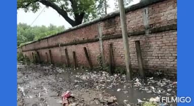 मधेपुरा: #मधेपुरा में #लक्ष्मीपुर मोहल्ला वार्ड 16 के सड़क की हालत नारकीय बन गई है वैसे तो सभी लगभग सभी सड़कों का यही हाल है 🤔
