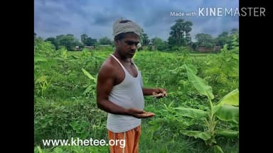 रामगढ़ चौक: जंगली #खेती बिहार में पहली बार #लखीसराय में, किसानों को मिलेगा फायदा
#khetee @खेती
